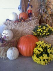 dyi fall home decorating idea available at Keil's Produce and Greenhouse in Swanton Ohio