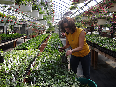 Lisa Keil, owner of Keil's Produce and Greenhouse in Swanton, Ohio