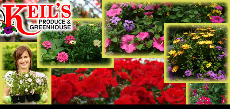 flower_basket_pictures_Keils_Produce_and_Greenhouse