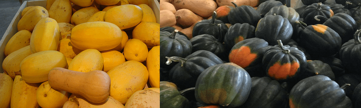 Homegrown butternut squash, acorn squash and spaghetti squash, some of the fall produce from Keil's Produce and Greenhouse in Swanton Ohio