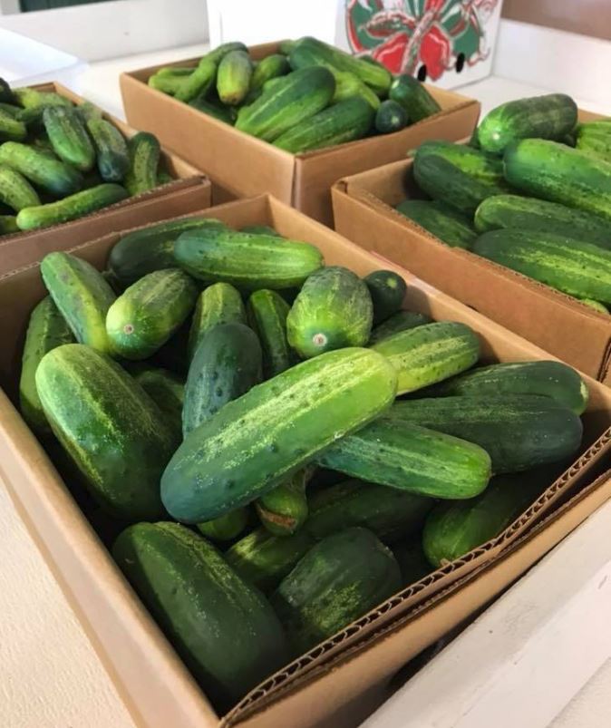 Keil's Produce and Greenhouse Toledo Garden Center & Farmers Market