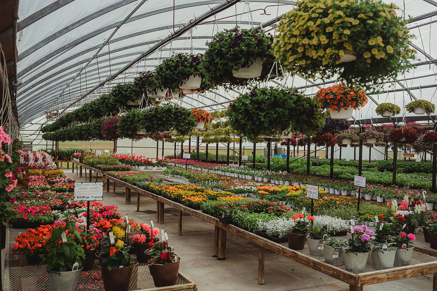 Greenhouse filled with flower baskets, plants, perenniels, garden vegetable plants at Keil's Produce and Greenhouse