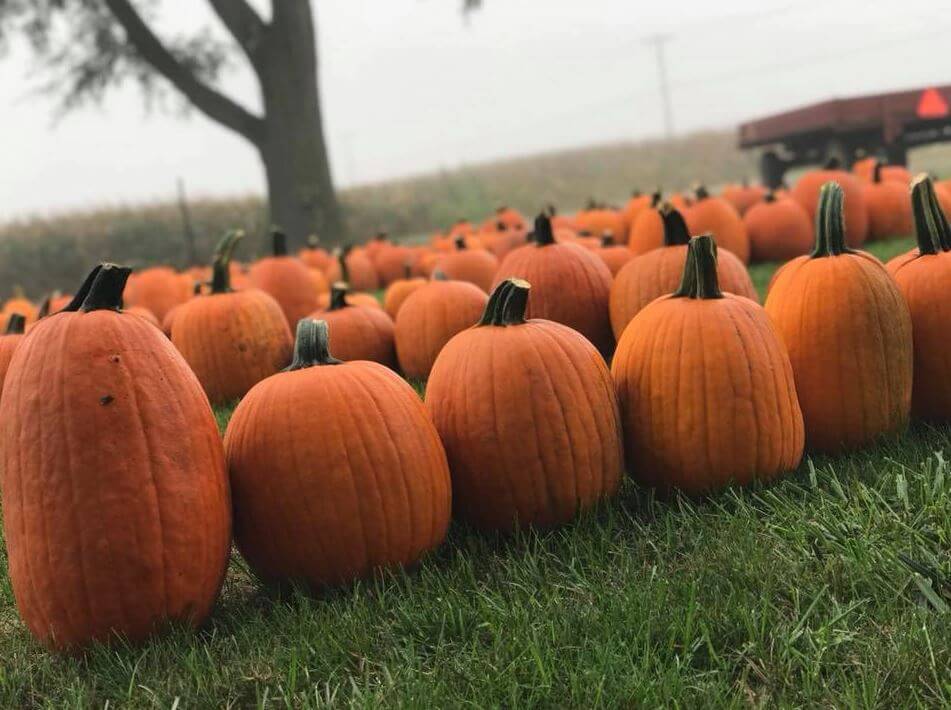 Keil's Produce and Greenhouse Toledo Garden Center & Farmers Market