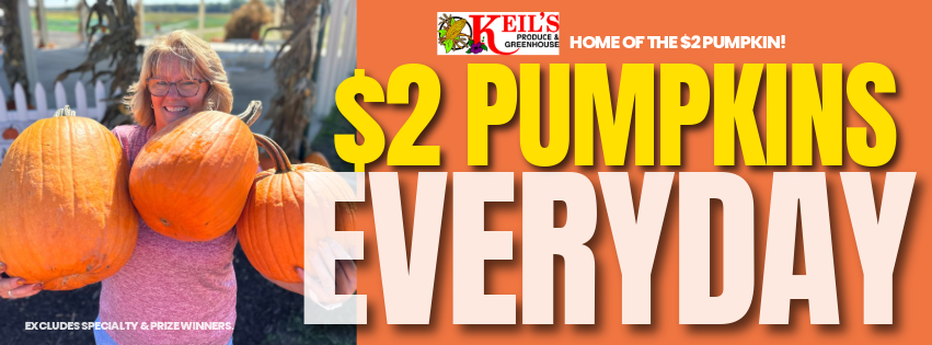 Home of the $2 Pumpkin. $2 Pumpkins Daily