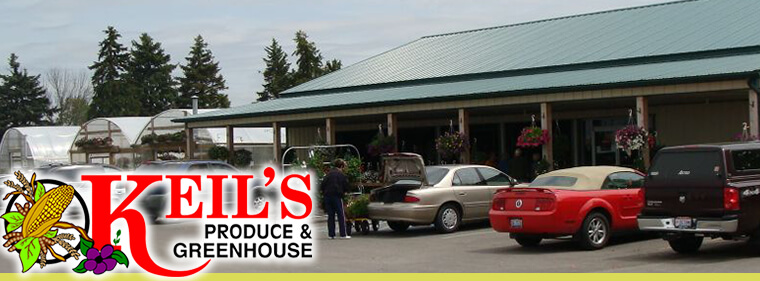 Keil's Produce and Greenhouse Swanton, Ohio greenhouse and location photograph