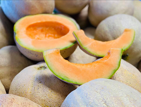 Cantaloupe from the fields at Keil's Produce and Greenhouse, near Toledo, OH.