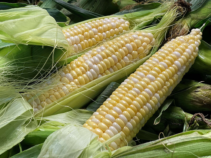 Keil's Produce and Greenhouse - Toledo Garden Center & Farmers Market
