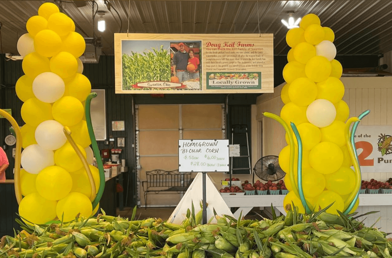 Corn on the cob displayed at Keil's Produce and Greenhouse in Swanton.