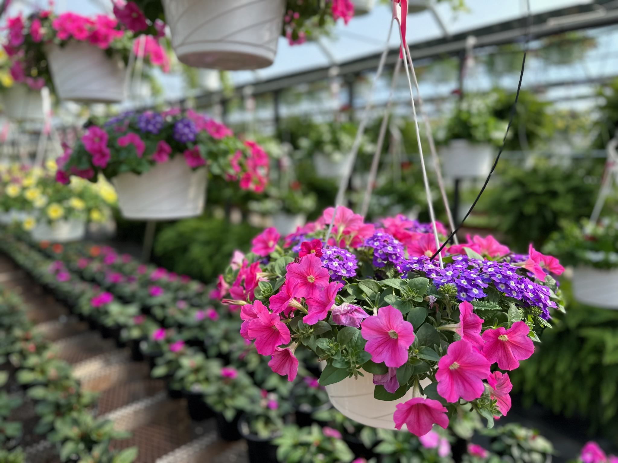 Flower baskets available at Keil's Produce and Greenhouse in Swanton, OH