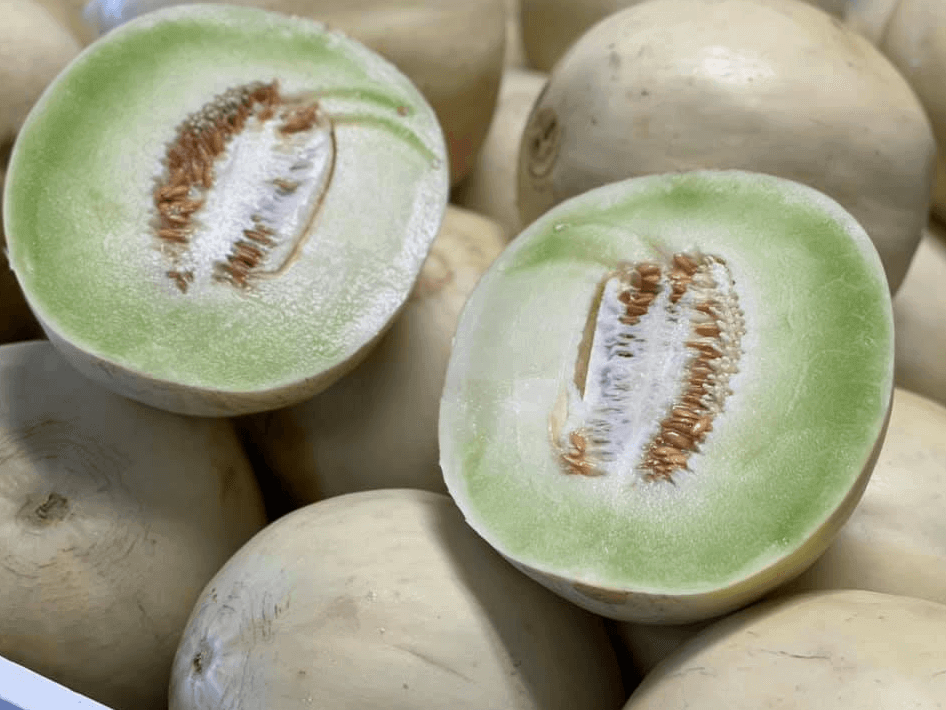 Honeydew melons from Keil's Produce and Greenhouse.