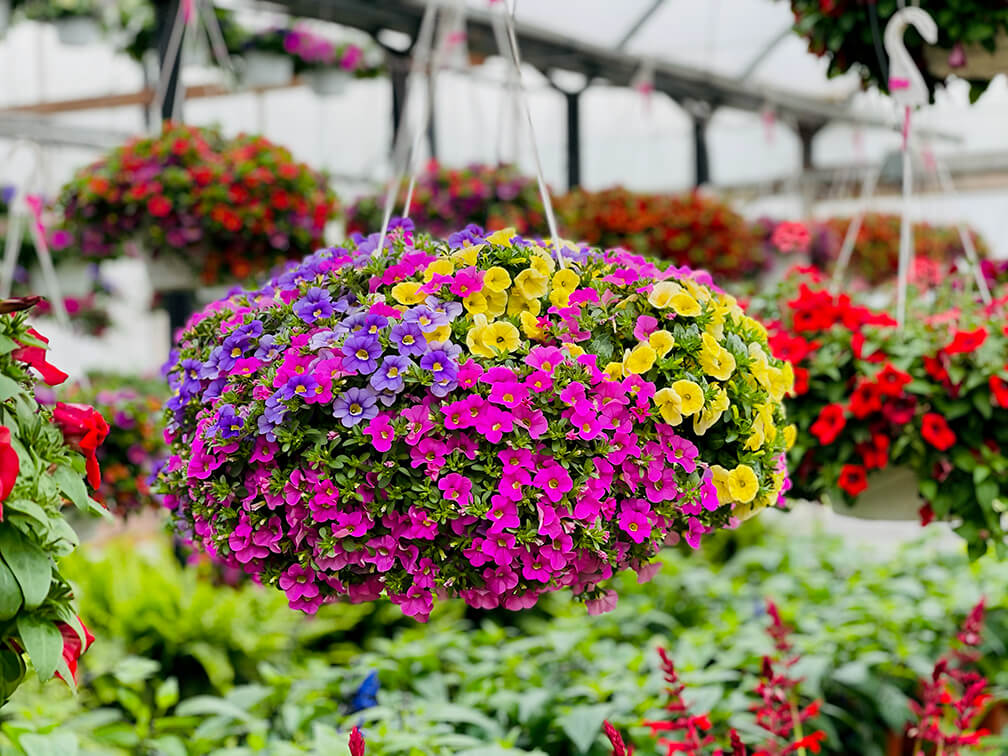 Keil's Beautiful Flower Baskets, Best Flower Baskets in the Toledo OH area.