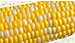 Corn on the cob from Keil's Produce and Greenhouse in Swanton, Ohio