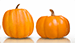 Two pumpkins from Keil's Produce and Greenhouse in Swanton, Ohio